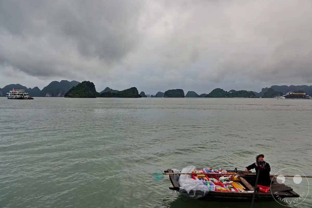Eine Frau rudert in einem kleinen Boot durch die Ha Long Bucht in Vietnam, beladen mit Waren, die sie verkauft. Im Hintergrund erheben sich die berühmten Karstfelsen aus dem Wasser unter einem dramatischen Himmel. Die Szene vermittelt eine ruhige, aber geschäftige Atmosphäre des Lebens auf dem Wasser.