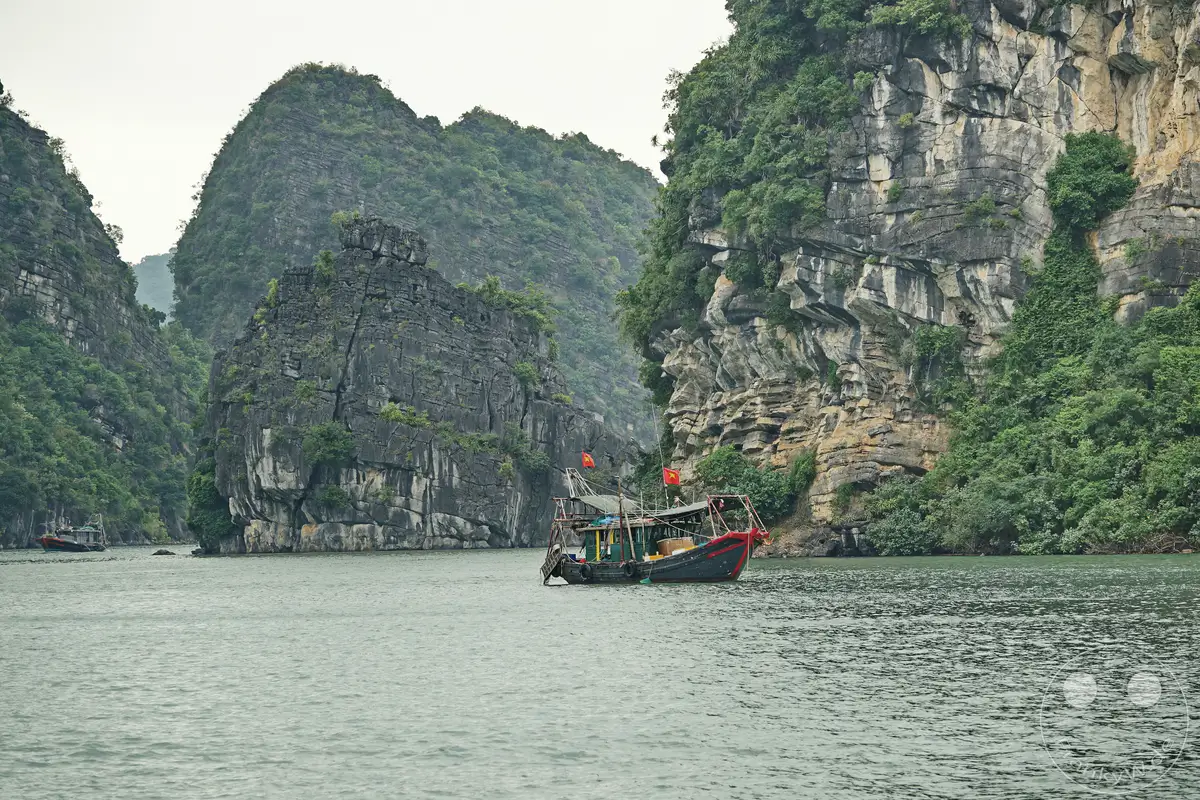 Die Ha Long Bucht in Vietnam präsentiert sich mit ihren majestätischen Karstfelsen, die aus dem ruhigen Wasser ragen. Ein traditionelles Boot fährt gemächlich durch die Bucht und unterstreicht die friedliche Atmosphäre dieser Naturlandschaft. Die üppige grüne Vegetation, die sich an die Felsen klammert, verleiht der Szene eine unwirkliche und malerische Kulisse.