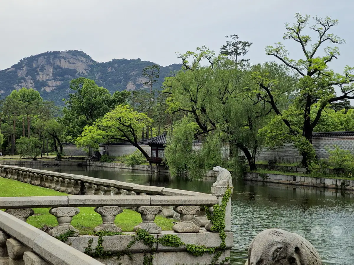 Die weitläufige Palastanlage Gyeongbokgung in Seoul, Südkorea, offenbart einen malerischen Teich, umrahmt von üppigem Grün und traditioneller Architektur. Der ruhige Wasserlauf spiegelt die majestätischen Bäume und die Bergkulisse wider und vermittelt eine Atmosphäre der Gelassenheit und historischen Pracht. Eine steinerne Balustrade führt den Blick über das Wasser, vorbei an einem Pavillon und in Richtung der imposanten Berge im Hintergrund.