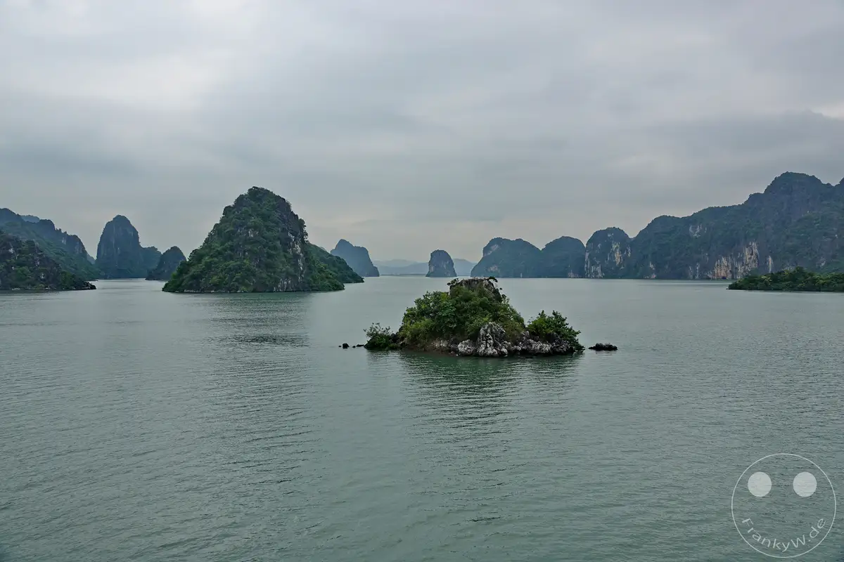 Unzählige grüne Karstfelsen ragen aus dem ruhigen, grauen Wasser der berühmten Ha Long Bucht in Vietnam. Die dramatischen, baumbewachsenen Inseln bilden eine mystische und friedliche Szenerie unter einem bewölkten Himmel. Kleine felsige Inseln mit üppiger Vegetation treiben im Vordergrund, während sich die Landschaft der Karstformationen bis zum Horizont erstreckt.