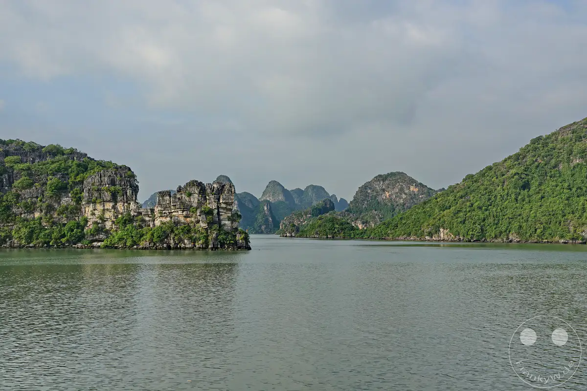 Die majestätische Ha Long Bucht in Vietnam präsentiert sich mit ihren ikonischen Karstfelsen, die aus dem ruhigen Meer emporragen. Dichte grüne Vegetation bedeckt die steilen Hänge der zahlreichen Inseln und schafft eine unberührte Naturkulisse. Die Szenerie strahlt eine friedliche und atemberaubende Schönheit aus, die typisch für diese UNESCO-Weltnaturerbestätte ist.