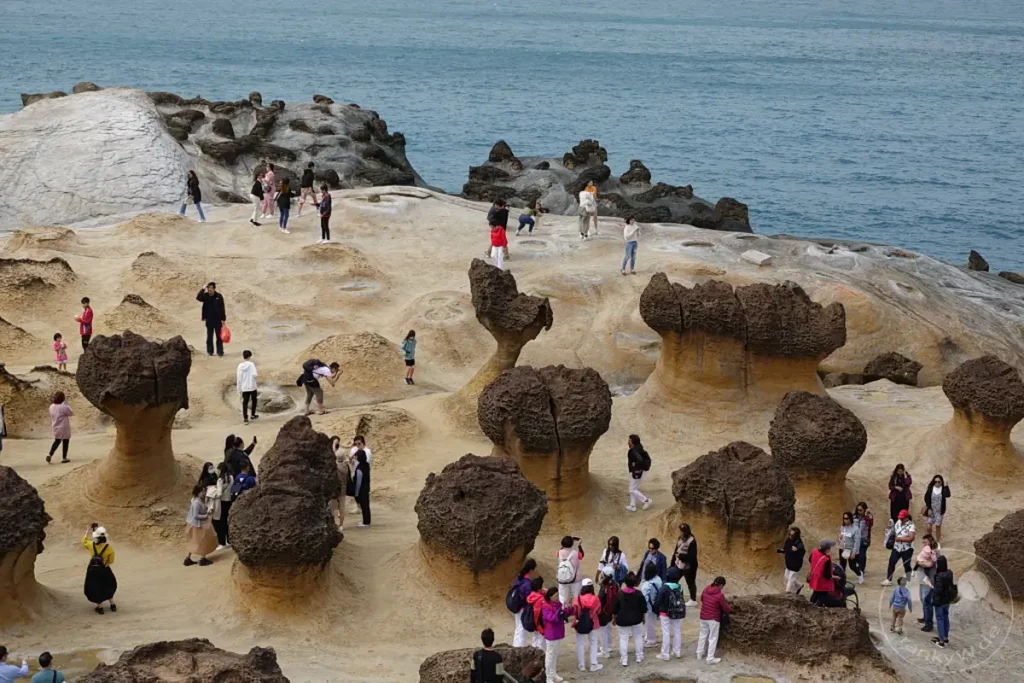 Besucher erkunden die einzigartigen Pilzkopf-Felsen im Yehliu Geopark an der Küste Taiwans. Die skurrilen Gesteinsformationen, geformt durch Erosion und Meereseinflüsse, ziehen zahlreiche Touristen an, die die Landschaft fotografieren und bestaunen. Das azurblaue Meer bildet einen eindrucksvollen Kontrast zu den ockerfarbenen Felsen und der belebten Szenerie.