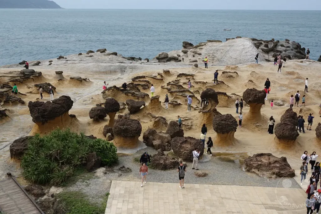 Die einzigartigen Felsformationen im Yehliu Geopark in Taiwan ziehen zahlreiche Besucher an. Die skurrilen Pilzköpfe und andere geologische Wunder erstrecken sich entlang der Küste und bieten eine faszinierende Landschaft. Die Szene ist belebt mit Touristen, die die ungewöhnlichen Felsstrukturen bestaunen und fotografieren.