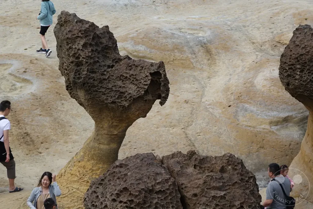 Die einzigartigen Windverwitterungs-Formationen im Yehliu Geopark in Taiwan ziehen Besucher aus aller Welt an. Touristen erkunden die skurrilen Felsgebilde, die durch Erosion und Verwitterung über Jahrtausende entstanden sind. Die Landschaft bietet einen faszinierenden Einblick in geologische Prozesse und die Kraft der Natur.