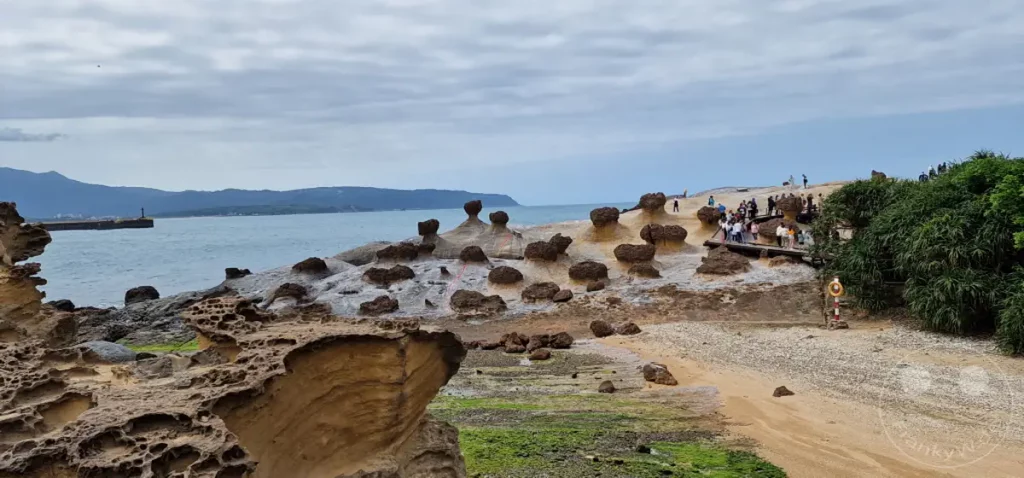 Die einzigartigen Pilzformationen des Yehliu Geoparks in Taiwan erstrecken sich entlang der felsigen Küste. Die bizarre Geologie und die Formen der Felsen, geformt durch Erosion und Wetter, bieten einen faszinierenden Anblick auf das Meer. Besucher erkunden die Gegend auf Holzstegen und bestaunen die Naturschönheiten des Parks.