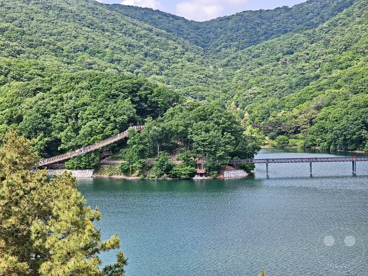 Eine hängende Brücke überspannt das glitzernde Wasser des Majang Reservoirs, umgeben von üppig bewachsenen Bergen. Besucher spazieren über die lange Holzbrücke und genießen die friedliche Atmosphäre der Natur in Südkorea. Die Szenerie strahlt Ruhe und Erhabenheit aus und lädt zum Verweilen ein.