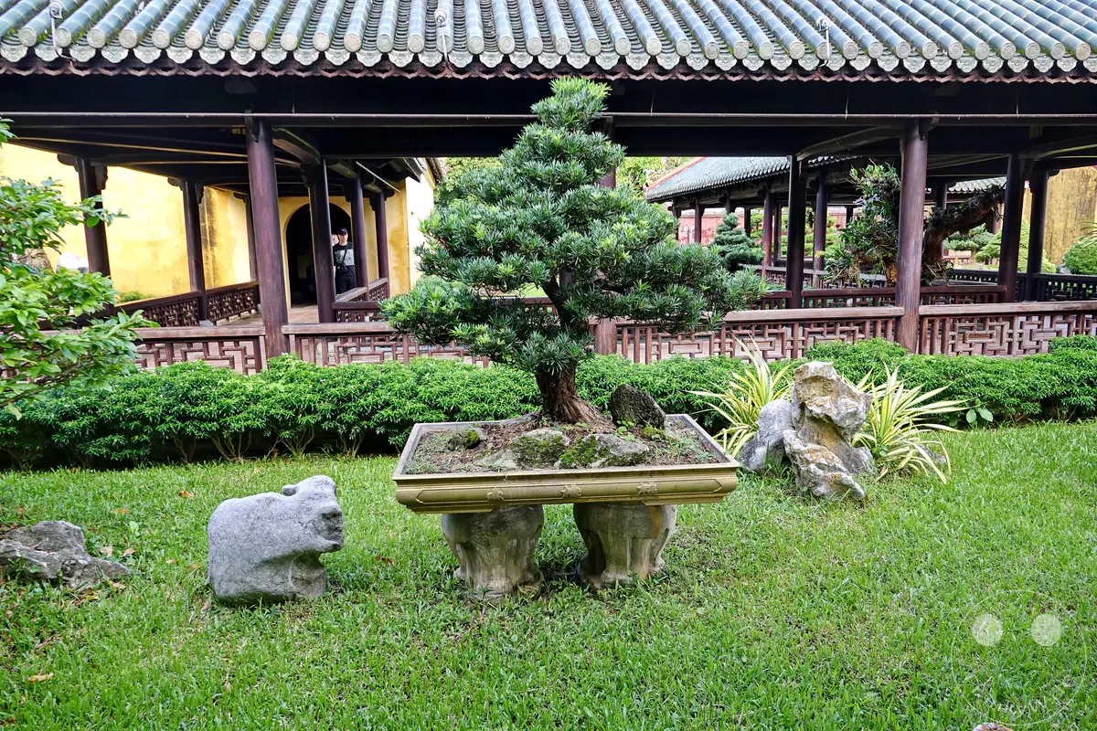 Im Herzen der Kaiserstadt Hue in Vietnam erstreckt sich eine traditionelle Gartenanlage. Ein kunstvoll gestalteter Bonsai steht im Mittelpunkt, umgeben von sorgfältig gepflegten Pflanzen und Steinelementen. Die Szenerie strahlt Ruhe und historische Bedeutung aus, eingebettet in die architektonische Kulisse der Zitadelle.