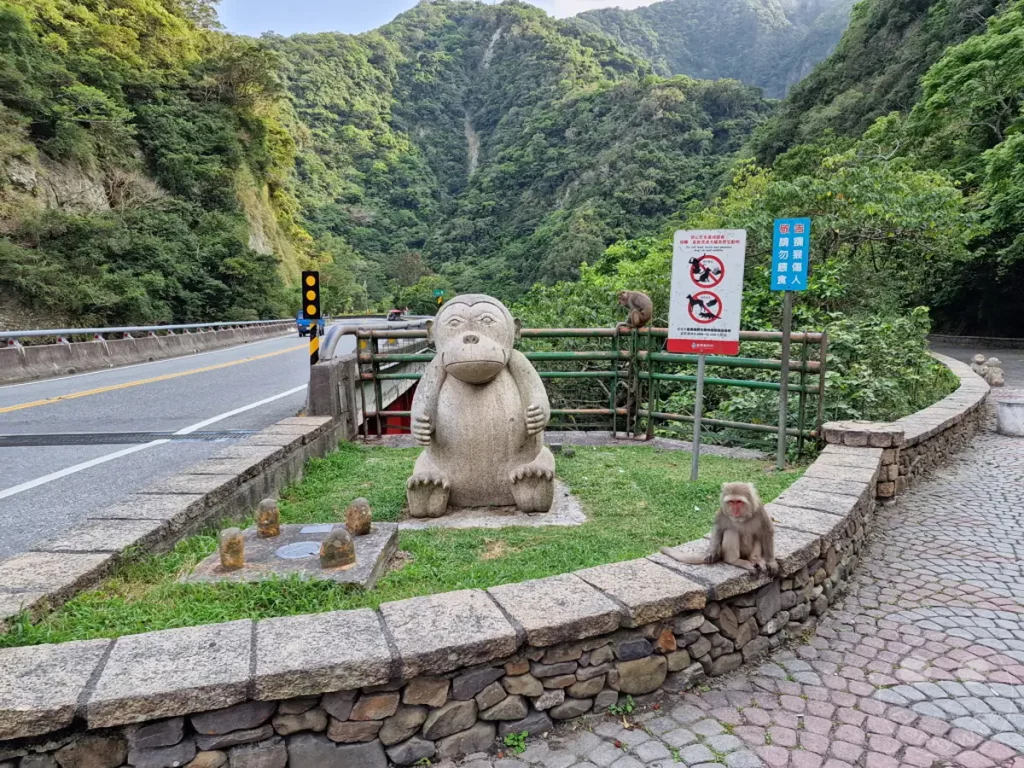 In der atemberaubenden Taroko-Schlucht auf Taiwan sind Affen in ihrer natürlichen Umgebung zu beobachten. Eine stone Skulptur eines Affen steht neben einem Warnschild, das das Füttern von Tieren untersagt. Die üppig grüne Berglandschaft bildet die Kulisse für dieses friedliche Zusammentreffen von Natur und Kultur.