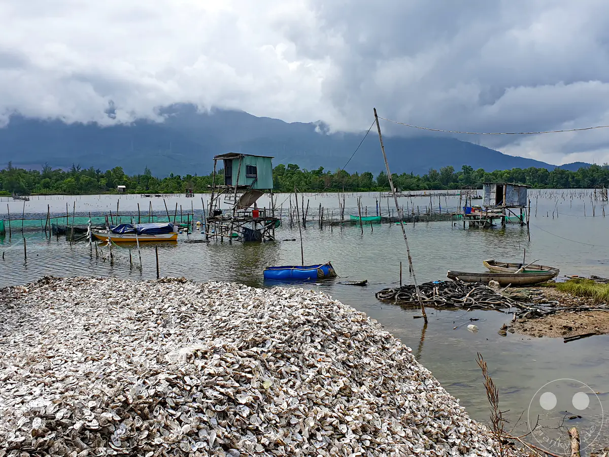 In Vietnam, an aquaculture operation flourishes in the Lap An Lagoon, with rows of oyster farms dotting the calm waters under a cloudy sky. A large pile of oyster shells sits prominently in the foreground, hinting at the harvest and the cyclical nature of the fishing industry. The scene evokes a sense of hardworking coastal life amidst a serene, yet dramatic, natural environment.