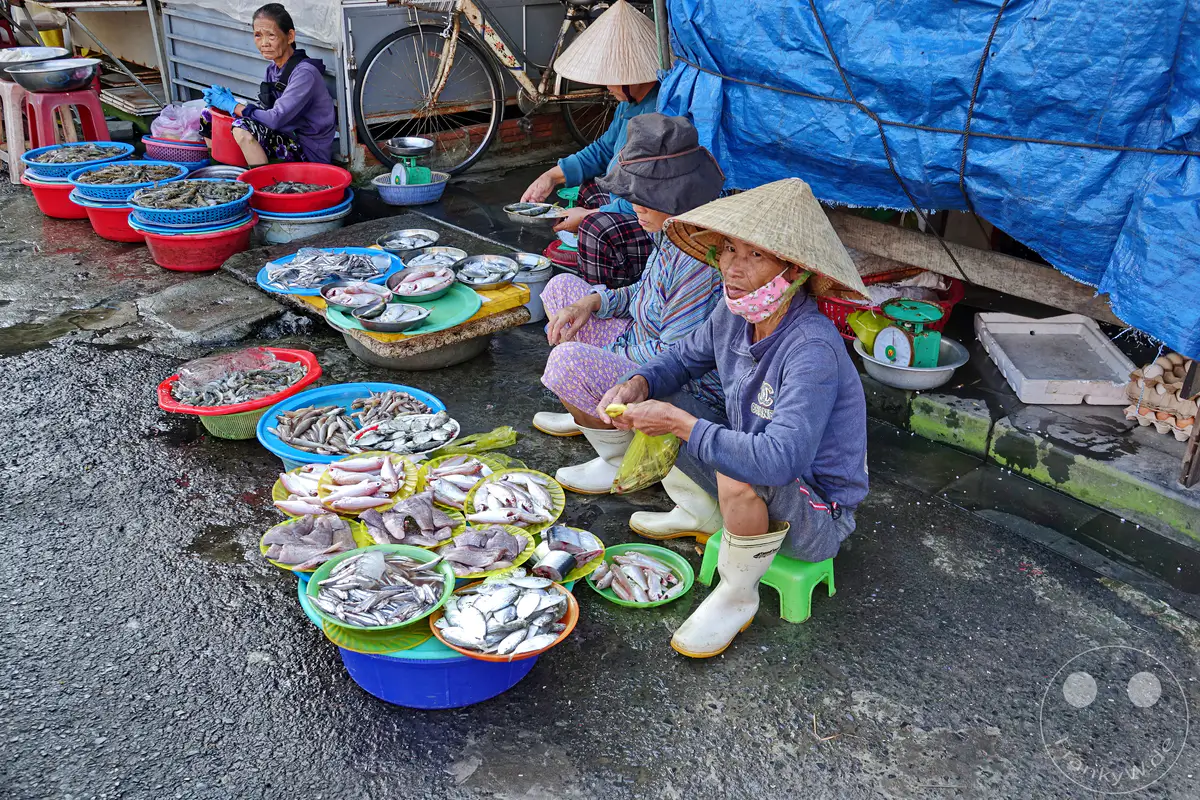 In Hoi An, Vietnam, bieten Marktverkäuferinnen ihren frischen Fang auf einem belebten Straßenmarkt an. Die Frauen, oft mit traditionellen Spitzhüten geschützt, sortieren und preisen die Ware feil, während das tägliche Markttreiben um sie herum tobt. Eine authentische Szene, die die Lebendigkeit des lokalen Handels einfängt.