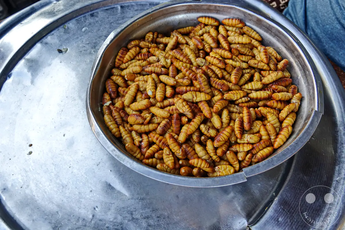 In Hoi An, Vietnam, fried silkworm pupae are offered as a popular street food snack. The insects are piled high in a metal bowl, showcasing their golden-brown, crispy appearance, typical for an Asian street market. This image captures the essence of adventurous culinary exploration in Southeast Asia.
