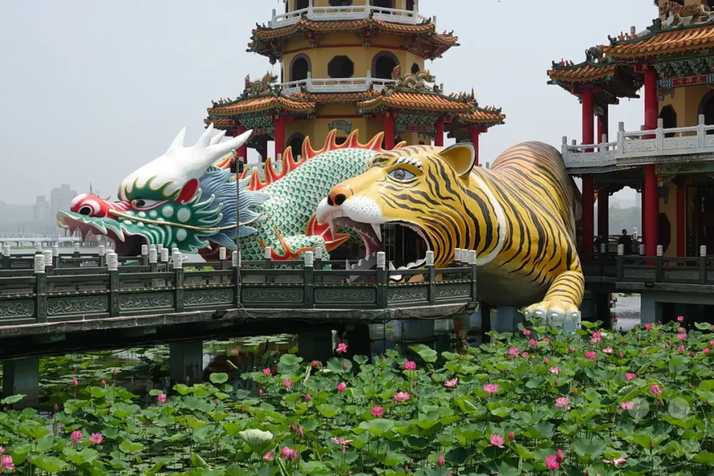 Eine beeindruckende Szene in Zuoying, Taiwan, zeigt die monumentalen Skulpturen eines Tigers und eines Drachens, die den Eingang zu den berühmten Drachen- und Tigerpagoden bilden. Im Vordergrund entfaltet sich ein üppiges Feld blühender Lotusblumen, das einen friedlichen Kontrast zur imposanten Architektur bildet. Der Himmel ist leicht bewölkt und verleiht der gesamten Aufnahme eine leicht gedämpfte, aber dennoch majestätische Atmosphäre.
