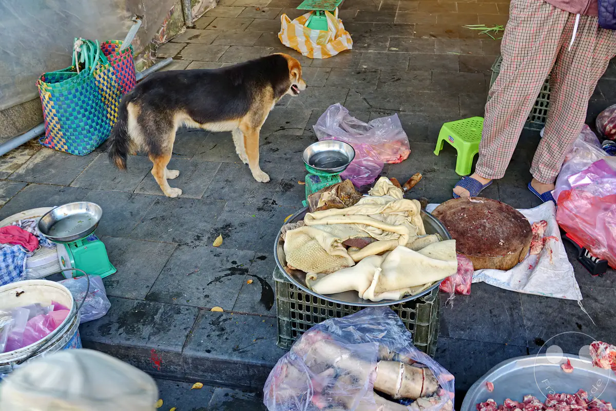 Ein Hund steht neben einem Metzgerstand auf einem belebten Straßenmarkt in Hoi An, Vietnam. Verschiedene Fleischstücke liegen auf Tellern und in Plastiktüten, bereit für den Verkauf. Die Szene vermittelt einen authentischen Einblick in das tägliche Leben und die kulinarischen Bräuche der Region.