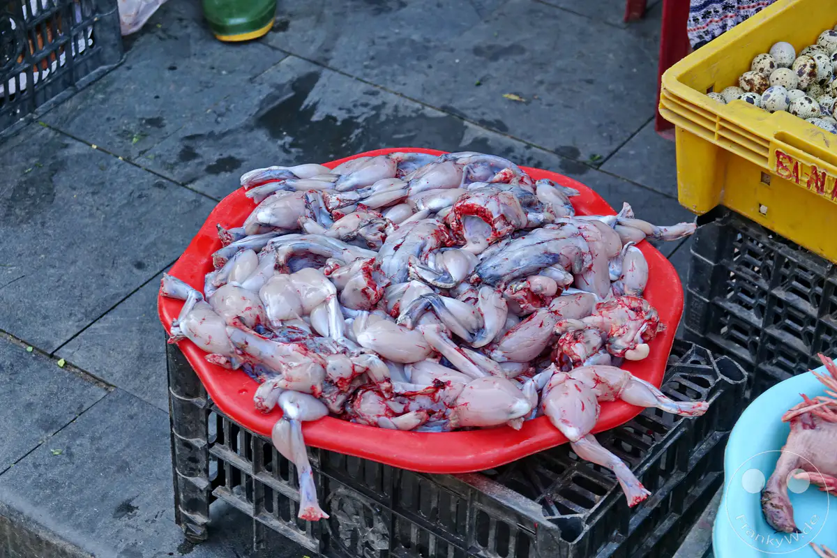 Frisch zubereitete Frösche liegen auf einem roten Teller, daneben ein gelber Korb mit Wachteleiern und ein blauer Behälter mit einem toten Vogel auf einem Markt in Hoi An, Vietnam. Das Bild vermittelt die Atmosphäre eines lebhaften vietnamesischen Street Markets, auf dem verschiedene Lebensmittelangebote präsentiert werden. Die Szene zeigt eine alltägliche Ansicht des Handels auf dem Markt mit frischen Produkten.