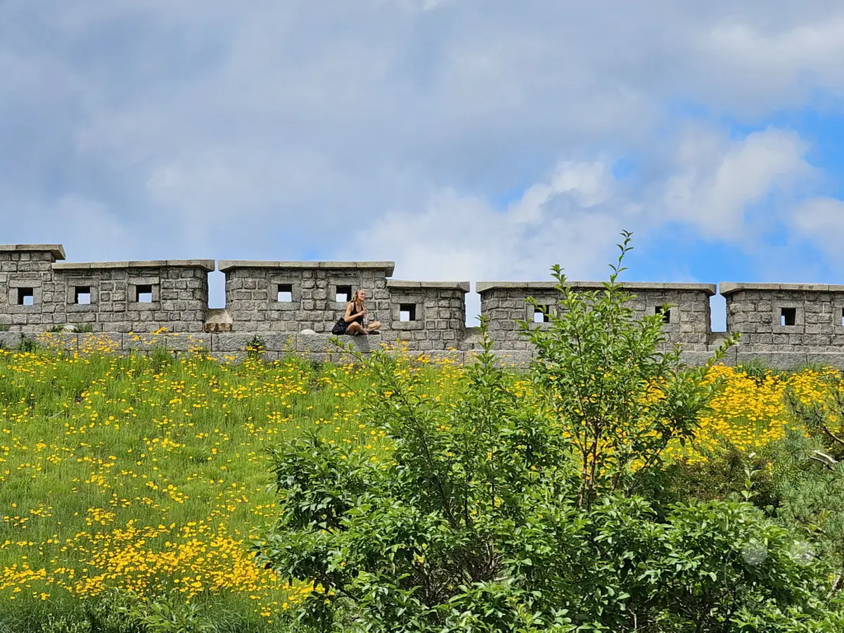 Eine Frau sitzt auf der historischen Seoul City Wall inmitten eines Feldes voller leuchtend gelber Blumen und grüner Gräser. Im Hintergrund erstreckt sich die imposante Steinmauer mit ihren zahlreichen kleinen Fenstern und Türmen unter einem strahlend blauen Himmel mit weißen Wolken. Die Szene strahlt eine friedliche und natürliche Schönheit aus, die historische Architektur mit üppiger Vegetation verbindet.