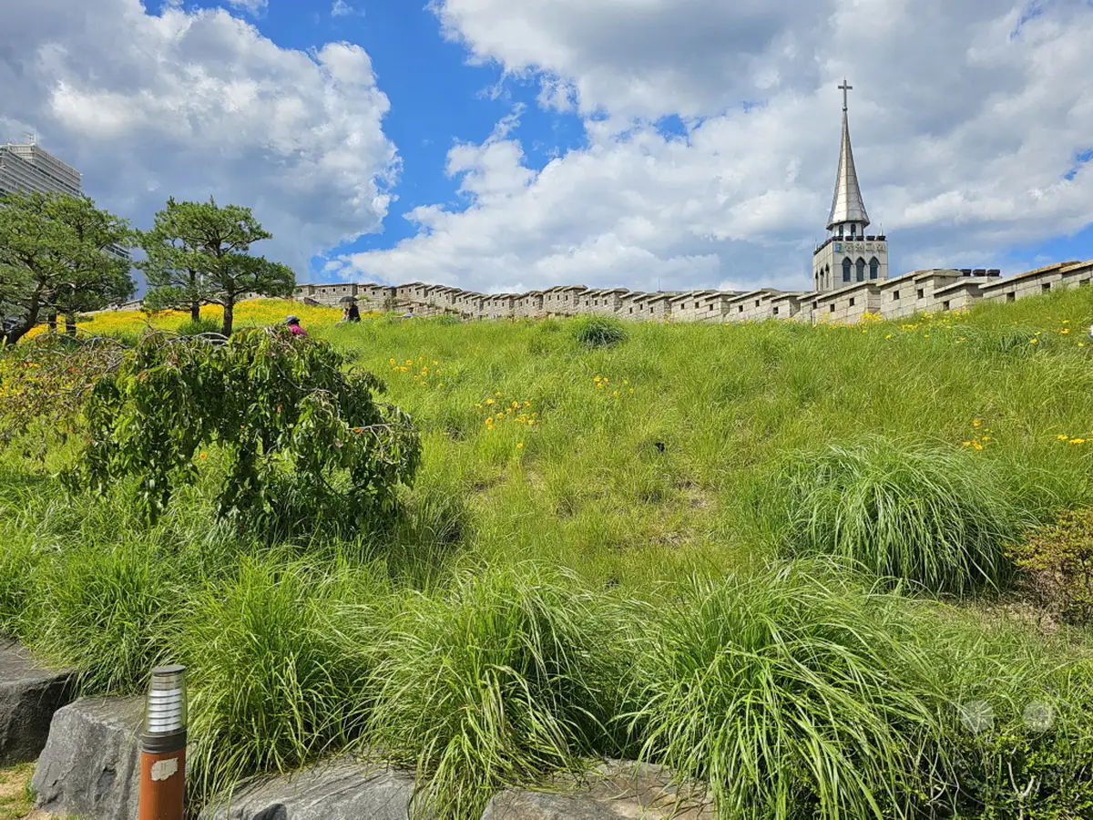 Eine historische Mauer schlängelt sich über einen üppig grünen Hügel, gesprenkelt mit gelben Blumen und flankiert von Bäumen. Im Hintergrund erhebt sich die markante Spitze eines Kirchturms vor einem dramatischen Himmel mit dramatischen Wolken. Die Szene strahlt eine friedliche Frühlingsstimmung aus, die Geschichte und Natur in Seoul, Südkorea, vereint.
