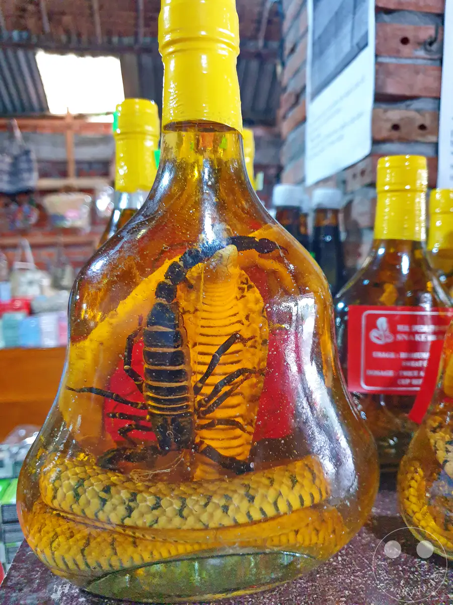 In Vietnam werden Skorpione und Schlangen in Alkohol eingelegt, eine traditionelle Methode, die auch als Souvenir beliebt ist. Diese Flaschen mit eingelegten Tieren, hier am Mekong zu sehen, sind ein ungewöhnlicher Anblick. Der Anblick der Tiere in der bernsteinfarbenen Flüssigkeit wirkt faszinierend und abschreckend zugleich.