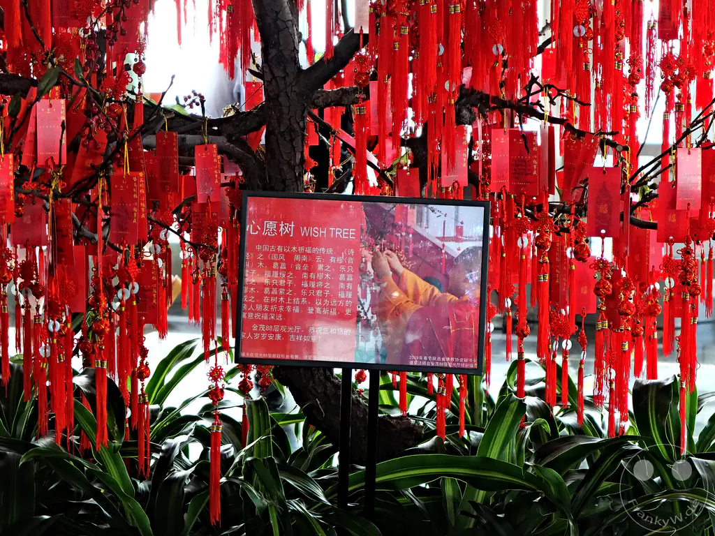 China - Shanghai - Pudong - Jin Mao Tower - Wish Tree