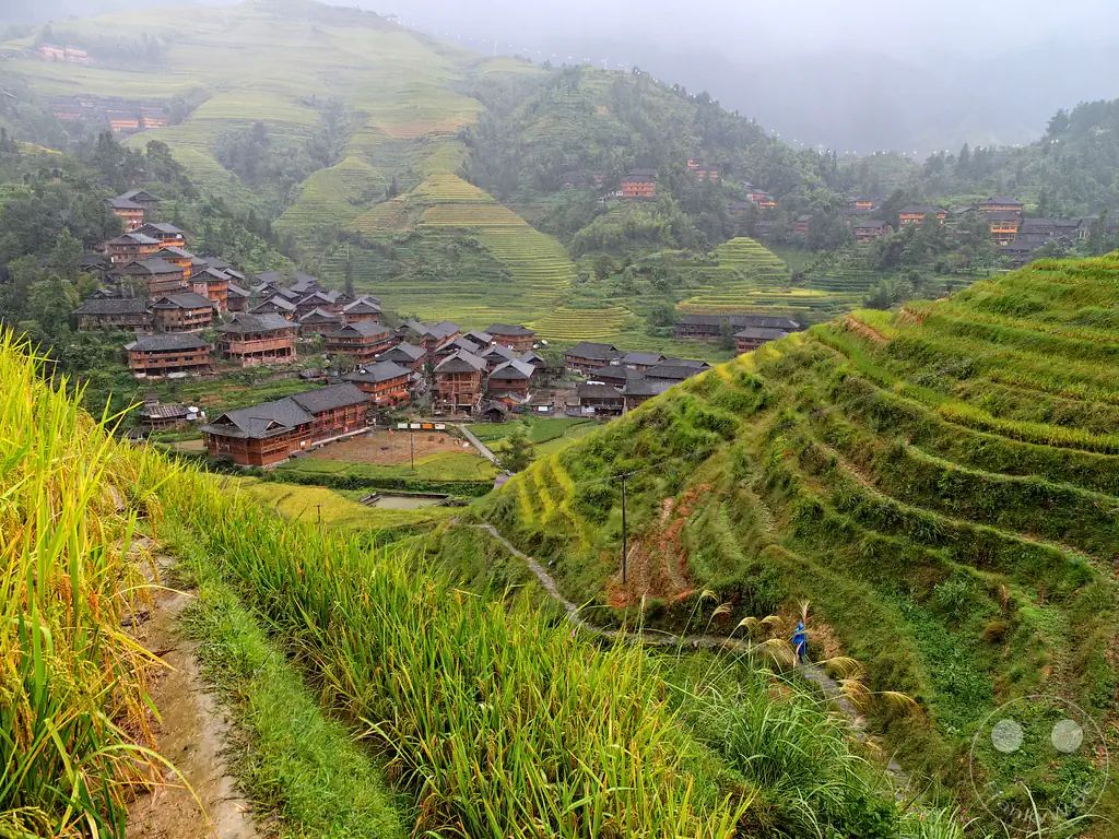 China – Longsheng – sweeping panoramic view of the Longji Rice Terraces