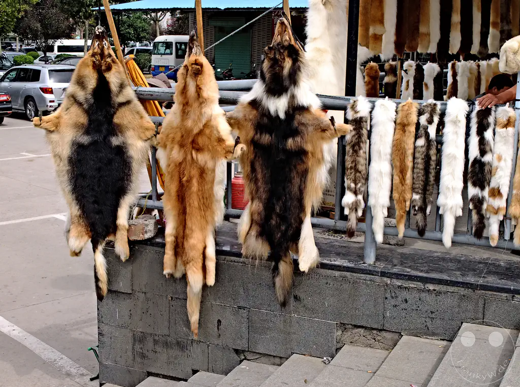 China - Xi'an - market stall selling animal pelts and fur items