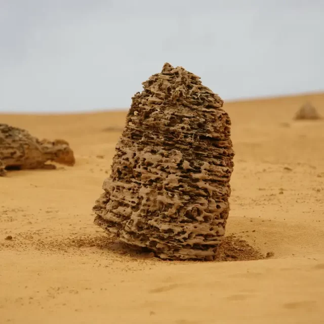Australia - Western Australia - Nambung-Nationalpark - The Pinnacles Desert