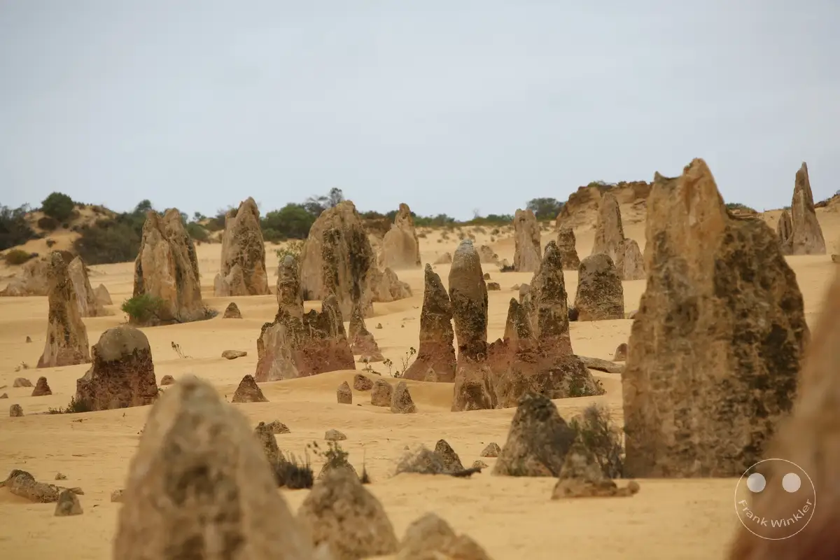 Australia - Western Australia - Nambung-Nationalpark - The Pinnacles Desert