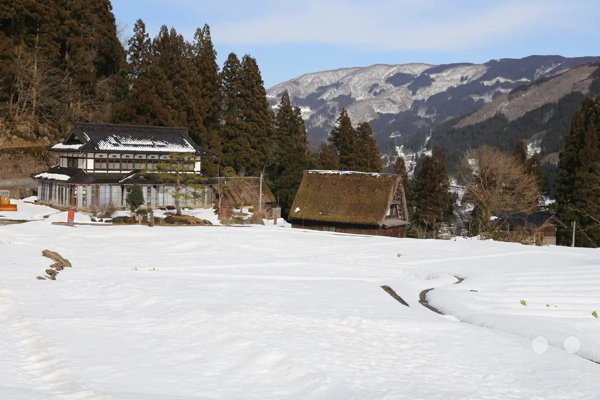 Traditionelles mehrstöckiges Holzhaus und ein historisches Gassho-Zukuri-Bauernhaus mit Strohdach inmitten einer tief verschneiten Landschaft vor bewaldeten Bergen in der Region Gokayama in der Präfektur Toyama, Japan.