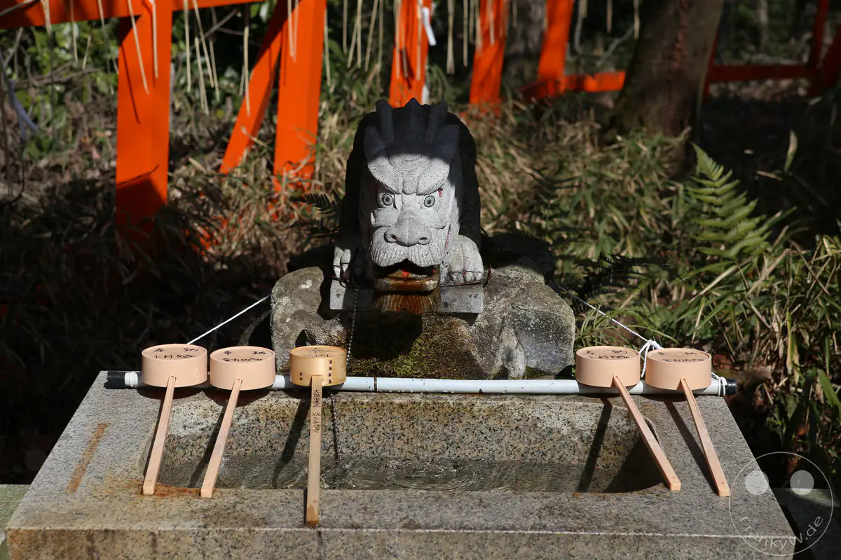 Traditionelles Chozuya Reinigungsbecken mit einer steinernen Drachenstatue und hölzernen Schöpfkellen vor roten Torii-Toren am Fushimi Inari-Taisha Schrein in Kyoto, Japan.