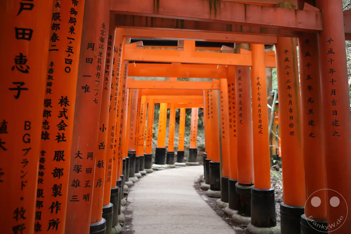 Ein gepflasterter Pfad schlängelt sich durch die dichten Reihen zinnoberroter Torii-Tore des Fushimi Inari-Taisha Schreins in Kyoto, deren Rückseiten mit den schwarzen Namen und Daten der Spender versehen sind.