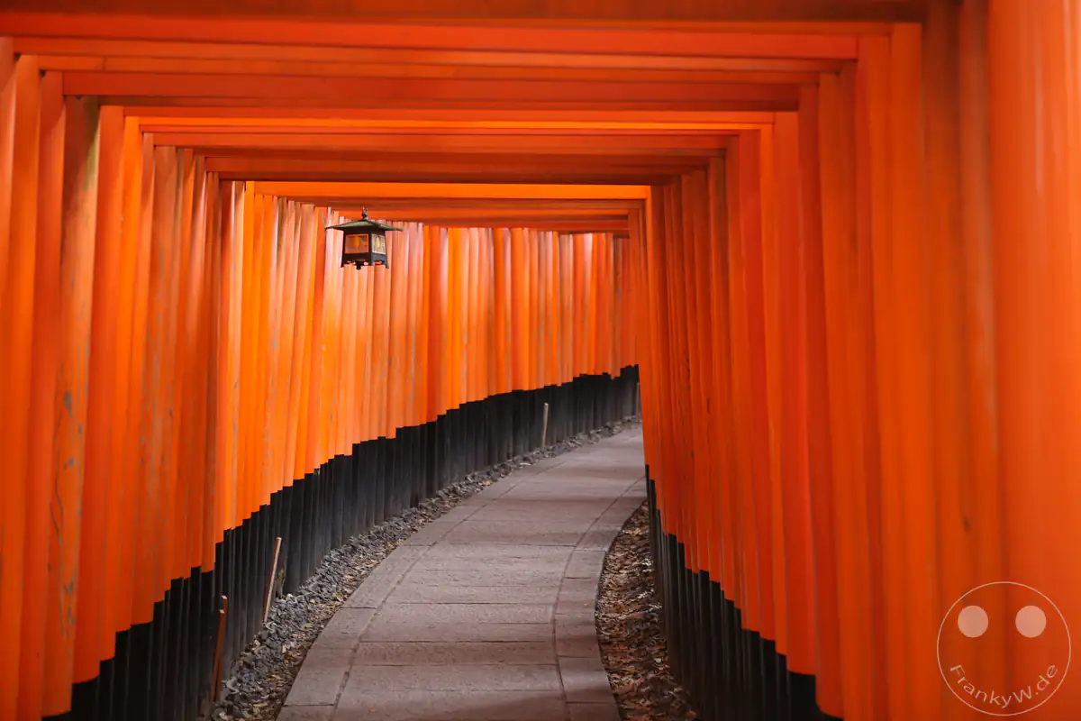 Ein geschwungener, schier endloser Tunnel aus tausenden dicht aneinandergereihten zinnoberroten Torii-Toren säumt den gepflasterten Pilgerweg des Fushimi Inari-Taisha Schreins in Kyoto.