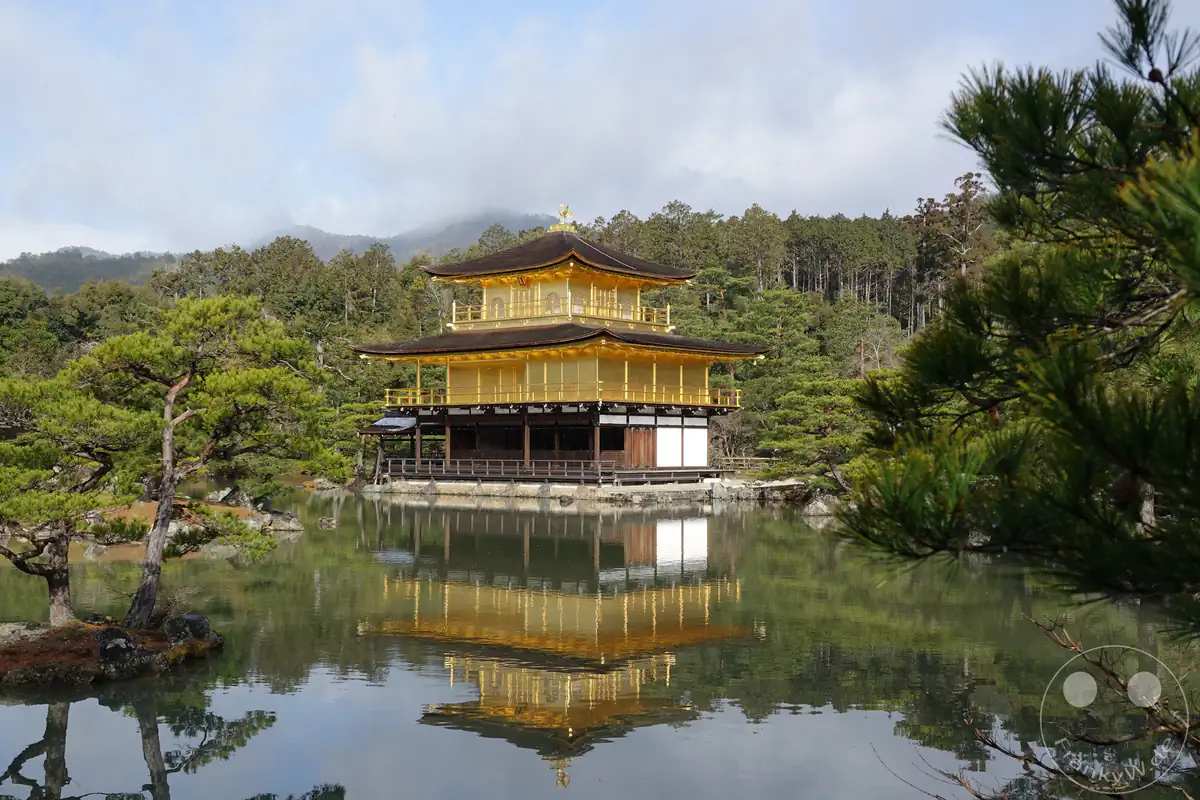 Der berühmte Goldene Pavillon des Kinkaku-ji Tempels in Kyoto spiegelt sich perfekt auf der glatten Wasseroberfläche des umliegenden Teiches, eingerahmt von traditionellen japanischen Kiefern.