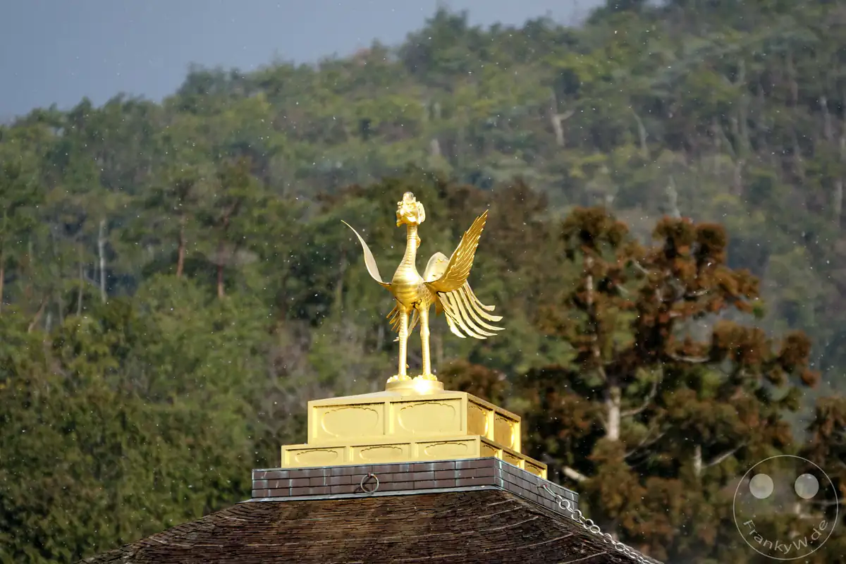 Die goldene Phönix-Statue auf der Dachspitze des Kinkaku-ji Tempels in Kyoto steht mit ausgebreiteten Flügeln im Rampenlicht, kontrastiert von einem bewaldeten Berghang im Hintergrund bei leichtem Schneegriesel.