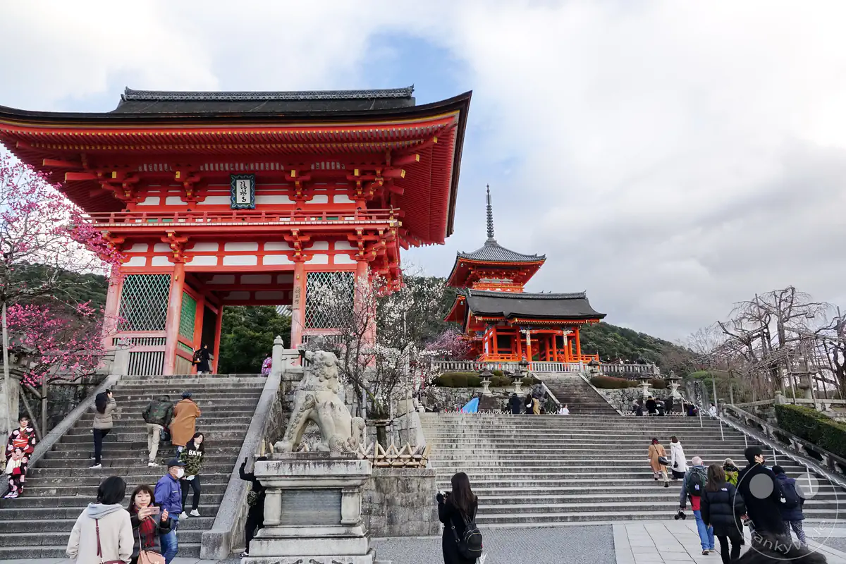 Zahlreiche Besucher steigen die Steintreppen zum leuchtend roten Niomon-Eingangstor des Kiyomizu-dera Tempels in Kyoto hinauf, während im Hintergrund die dreistöckige Sanjunoto-Pagode emporragt.