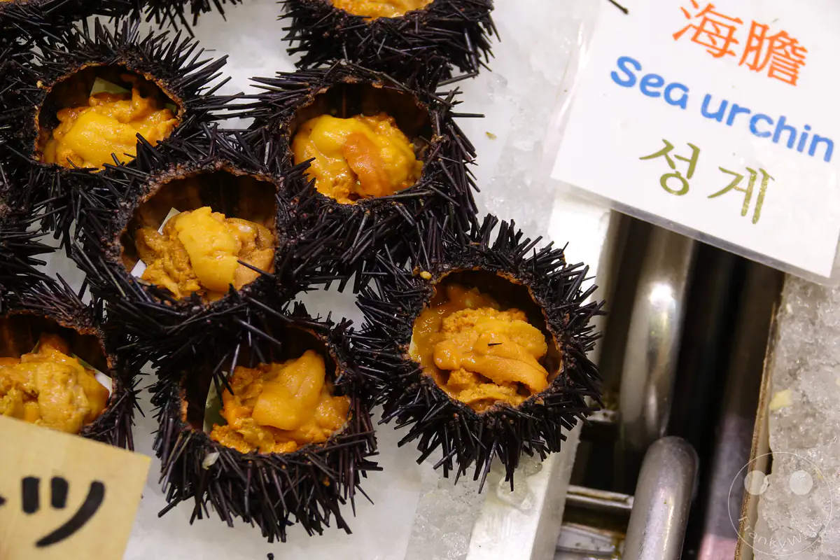 Frische, geöffnete Seeigel mit leuchtend gelb-orangefarbenem Uni werden auf Crushed Ice neben mehrsprachigen Preisschildern auf einem traditionellen Fischmarkt in Kyoto präsentiert.
