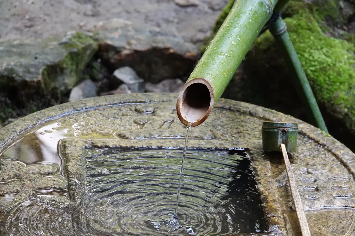 Ein stetiger Wasserstrahl fließt aus einem grünen Bambusrohr in das berühmte, münzförmige Tsukubai-Steinbecken für rituelle Waschungen am Ryoan-ji Tempel in Kyoto.