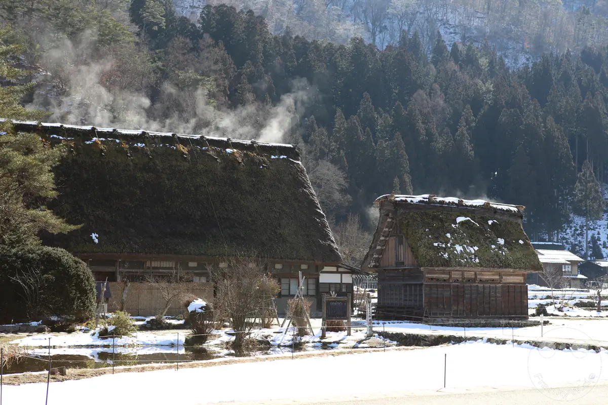 Traditionelle historische Gassho-Zukuri-Bauernhäuser mit steilen, dampfenden Strohdächern in einer verschneiten Winterlandschaft im UNESCO-Weltkulturerbe-Dorf Shirakawa-go in der Präfektur Gifu, Japan.