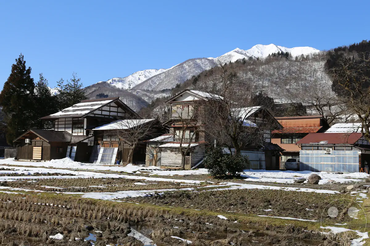 Traditionelle ländliche Holzhäuser in Shirakawa-go hinter schneebedeckten Feldern vor der Kulisse der imposanten, tief verschneiten Japanischen Alpen in der Präfektur Gifu, Japan.