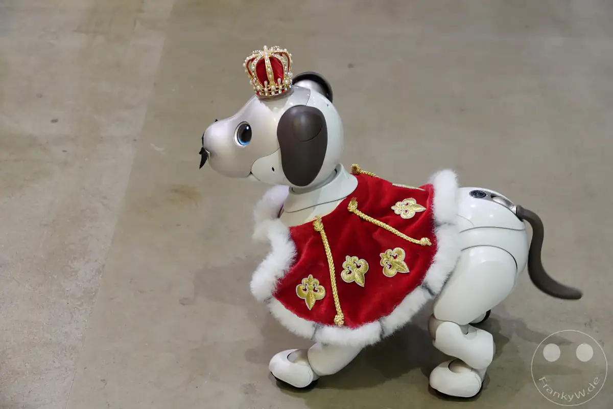 Ein weißer Sony-Aibo-Roboterhund steht im Sony Store Ginza auf einem grauen Boden, verkleidet mit einer goldenen Krone und einem königlichen roten Umhang samt weißem Kunstfellbesatz im Stadtteil Chuo in Tokio, Japan.