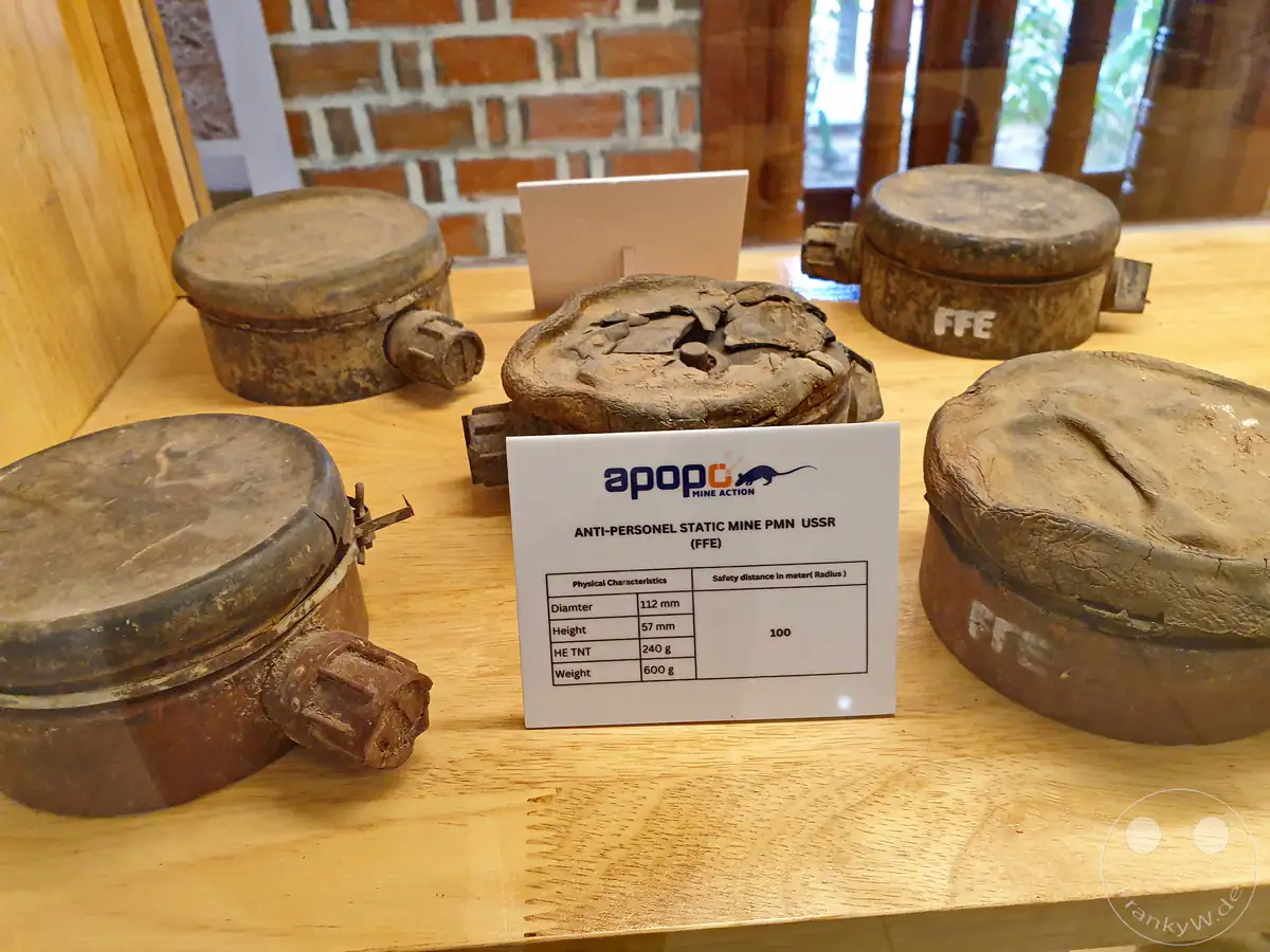 Eine Sammlung historischer, entschärfter sowjetischer PMN-Antipersonenminen (FFE - Free From Explosives) auf einem Holztisch im APOPO-Besucherzentrum mit einem Informationsschild zu den technischen Daten.