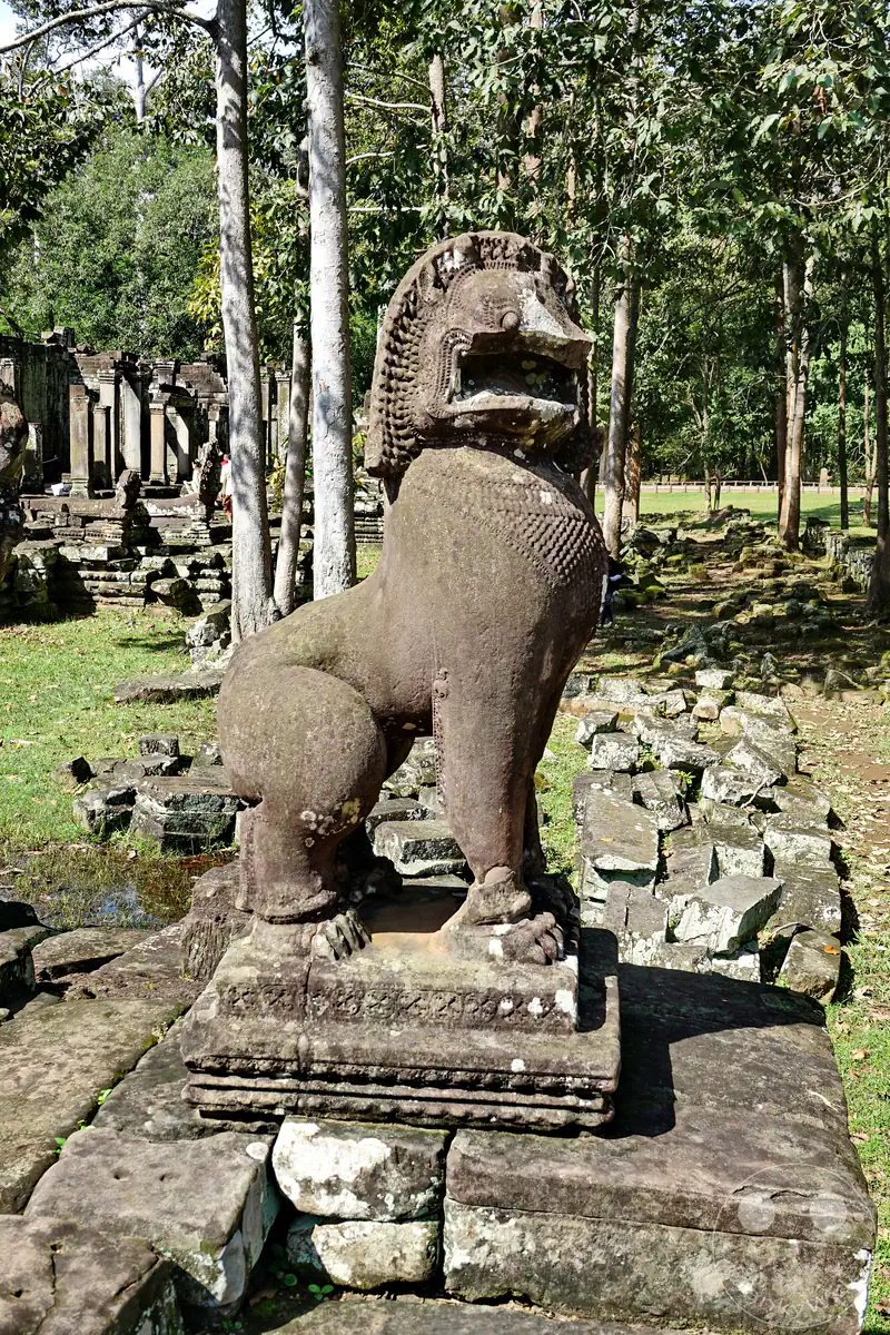 Eine historische steinerne Löwenstatue (Singh) als traditionelle Wächterfigur im Profil auf einer erhöhten Steinplattform vor den bewaldeten Tempelruinen von Angkor in Kambodscha.