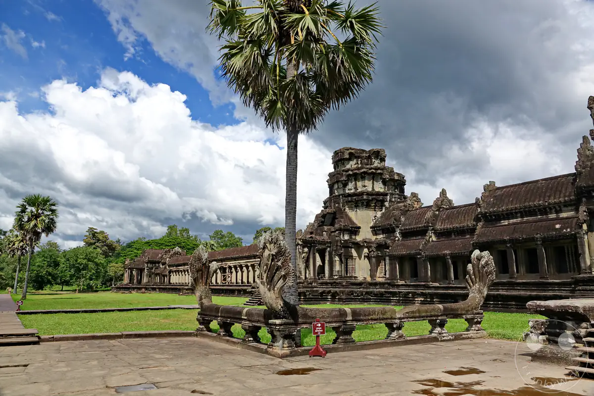 Die historische Außenansicht des Angkor-Wat-Tempels mit einer erhöhten Steinplattform im Vordergrund, die von einer vielköpfigen Naga-Schlangenskulptur gesäumt wird, neben einer hohen Palme unter bewölktem Himmel.
