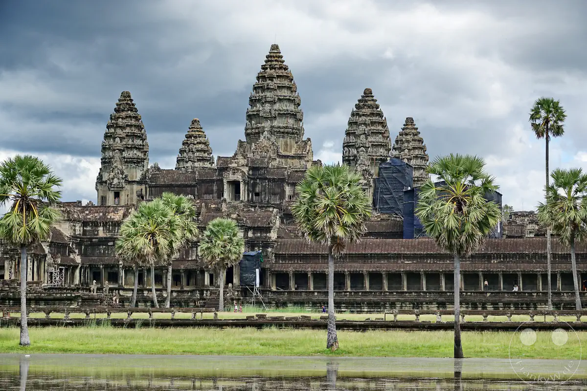 Eine nähere Außenansicht der historischen Tempelanlage Angkor Wat mit ihren fünf monumentalen, lotusförmigen Steintürmen hinter einer Reihe von Palmen und einer grünen Wiese unter einem bewölkten Himmel.