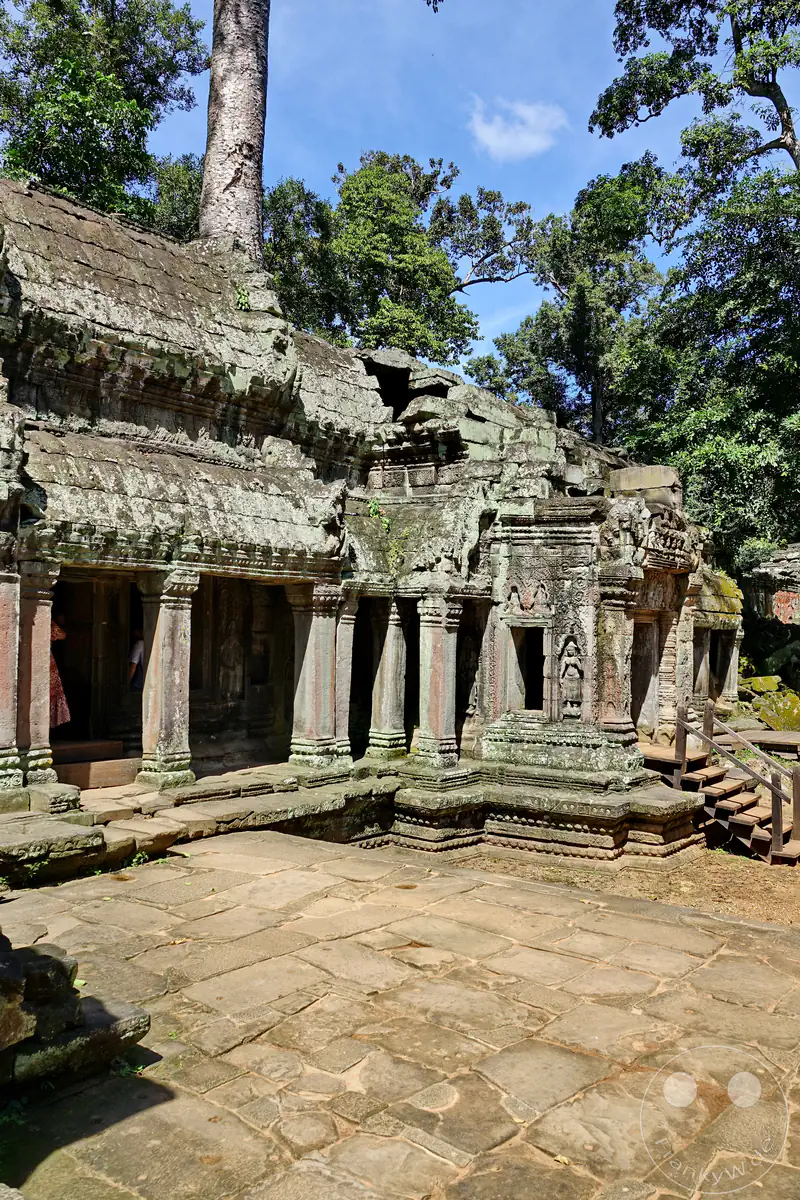 Ein steingepflasterter Außenbereich vor einem historischen, von Säulen getragenen Galeriegang des Ta-Prohm-Tempels in Angkor, über dessen verfallene Dächer ein monumentaler Baumstamm in den Himmel wächst.