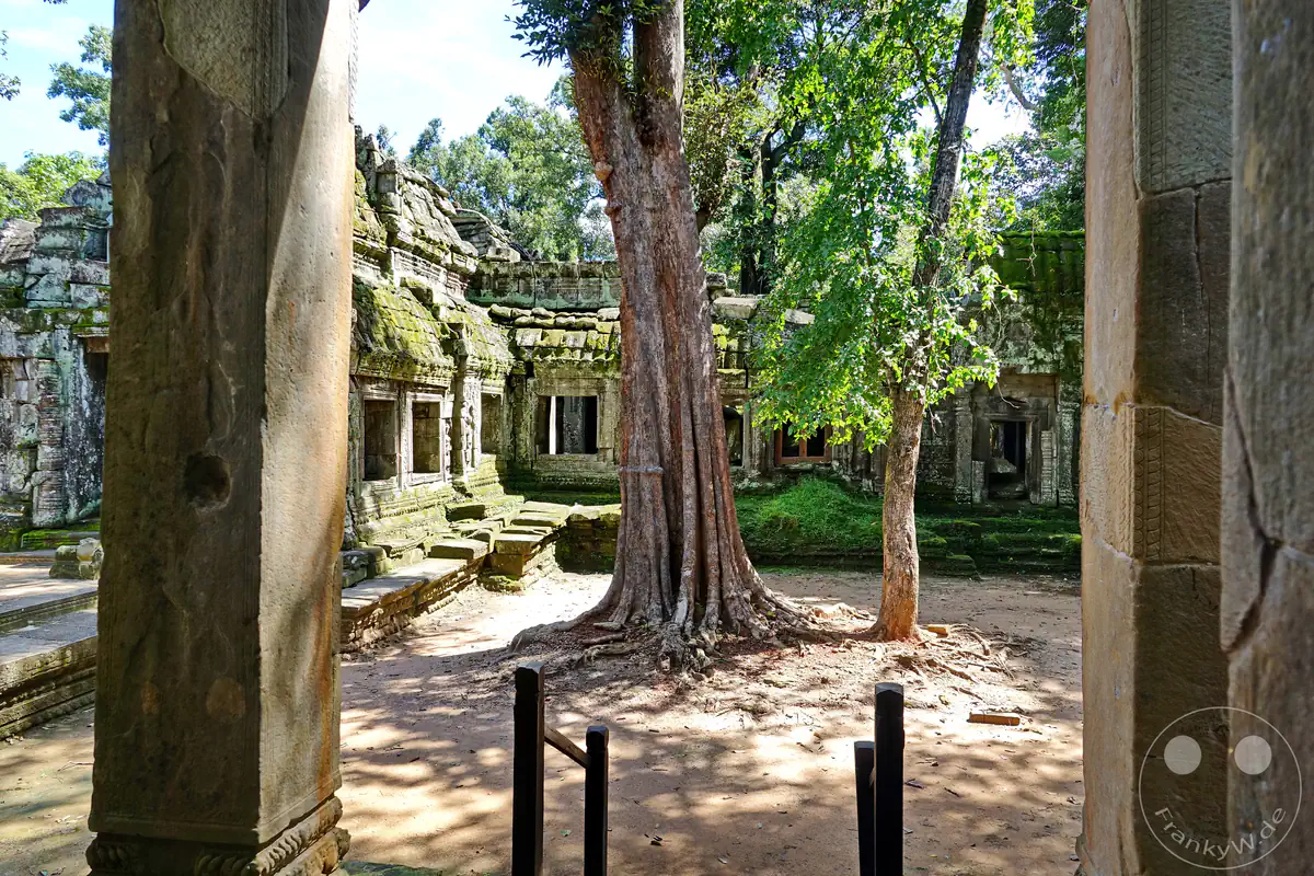 Der Blick durch steinerne Torsäulen auf einen historischen Innenhof im Ta-Prohm-Tempel in Angkor, in dessen Mitte ein großer Baum mit markanten Wurzeln inmitten moosbewachsener Ruinen steht.
