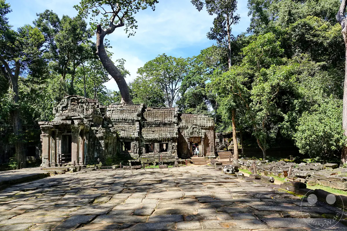 Der steingepflasterte Vorplatz und die historische Fassade des Ta-Prohm-Tempels in Angkor, über dessen verfallene Mauern monumentale Urwaldbäume in den Himmel ragen.