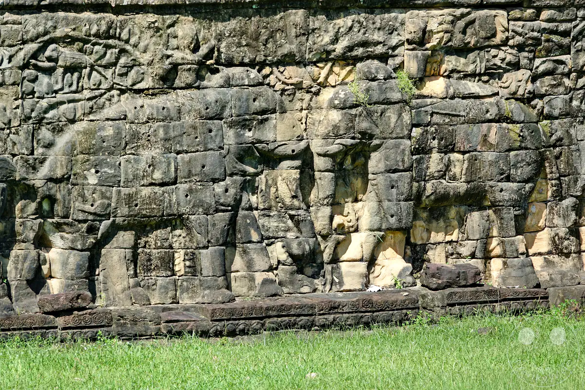 Eine Nahaufnahme der historischen, in die Steinmauern gemeißelten Elefanten-Basreliefs an der Terrasse der Elefanten in der Tempelanlage Angkor Thom über einem grünen Grasstreifen.