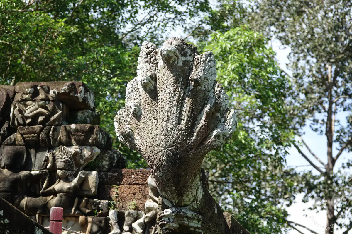 Eine historische, vielköpfige Naga-Schlangenskulptur aus Stein an der Terrasse der Elefanten in Angkor Thom vor grünem Baumhintergrund mit Apsara-Steinreliefs auf der linken Seite.