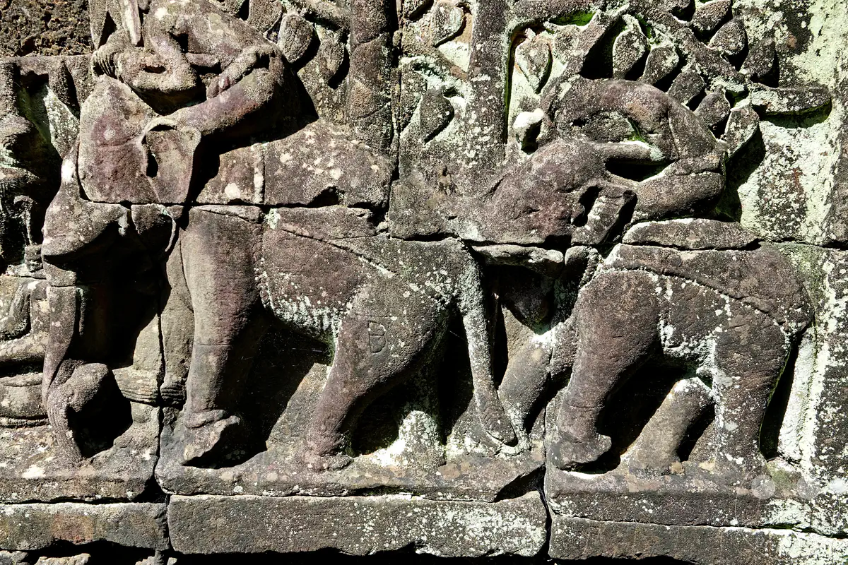 Ein historisches Basrelief an der Terrasse der Elefanten in Angkor Thom mit kunstvollen, in den Stein gemeißelten Darstellungen von Elefanten und ihren Reitern inmitten von Pflanzenmotiven.