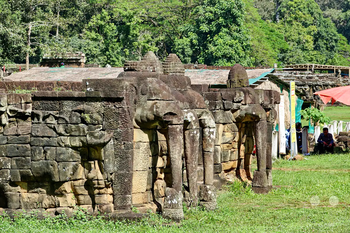 Die historischen, aus Stein gemeißelten Elefantenköpfe an der Außenwand der Terrasse der Elefanten in Angkor Thom vor einer grünen Wiese unter sonnigem Himmel.