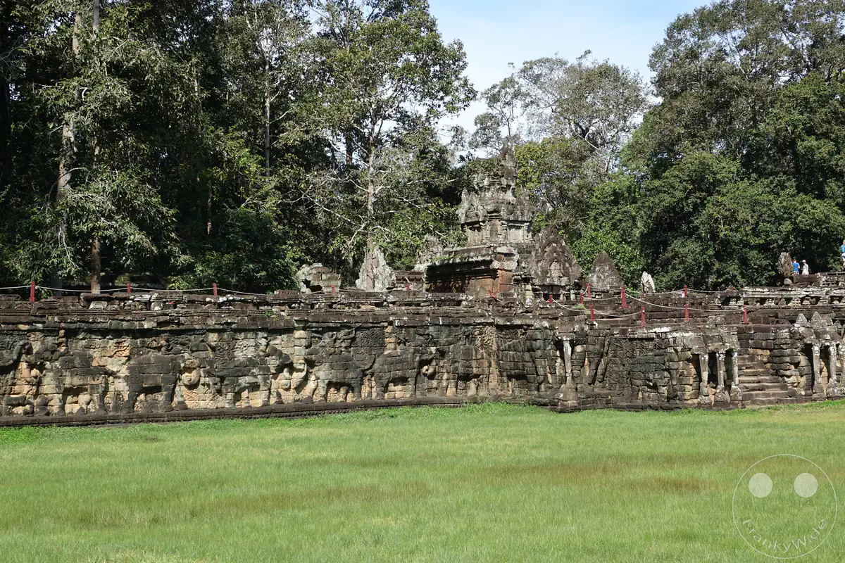 Die historische Terrasse der Elefanten in Angkor Thom mit ihren monumentalen, fortlaufenden Elefantenreliefs an den Steinmauern vor einer grünen Rasenfläche und dichtem Dschungelwald.